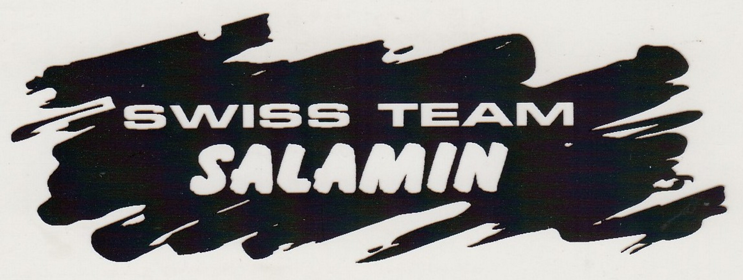 Swiss Team Salamin